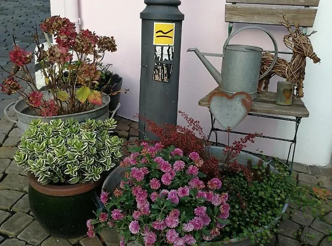 Altstadt Oberstadt Haeuschen * Siegen